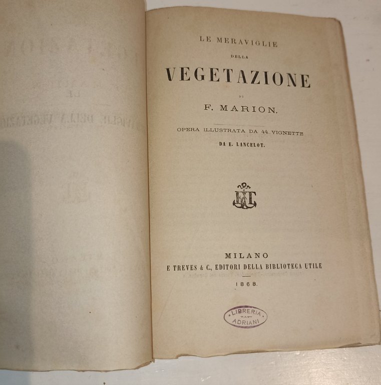 Le meraviglie della vegetazione | Immagine Gallery 2