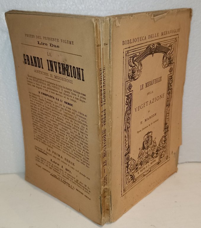 Le meraviglie della vegetazione | Immagine Gallery 3