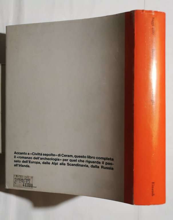 Le navi dei Vichinghi e altre avventure archeologiche nell'Europa preistorica