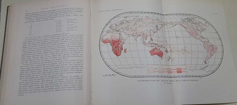 Le razze e i popoli della terra - 4 Voll. | Immagine Gallery 3