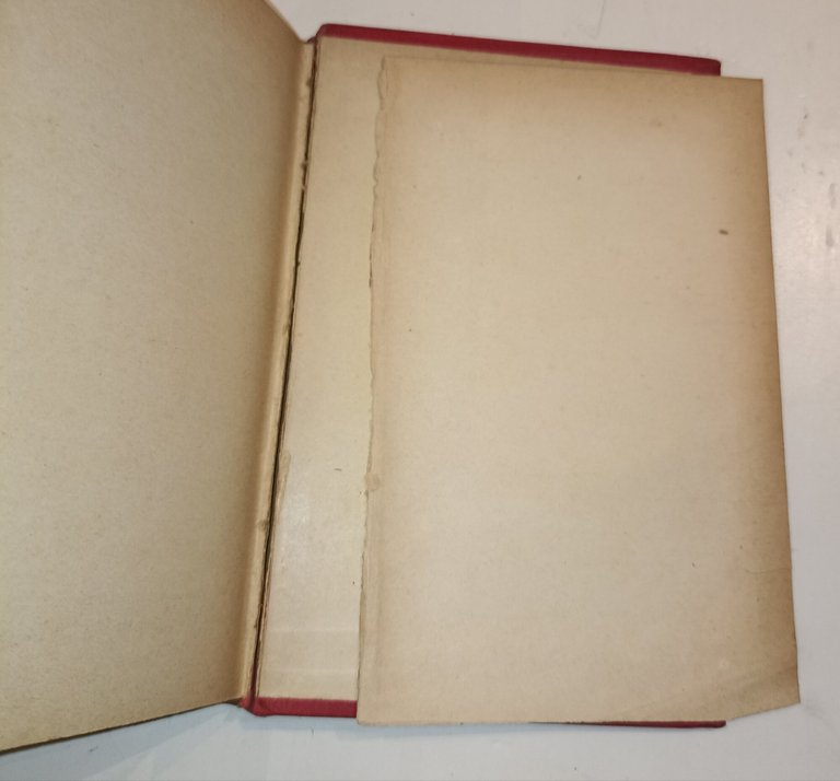 Le socialisme | Immagine Gallery 4