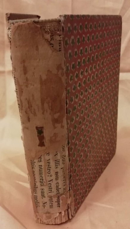 LES CONFIDENCES D'UNE AIEULE (1900)