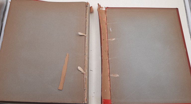 Les costume les armes, utensiles, outils des peuplesanciens et modernes | Immagine Gallery 4
