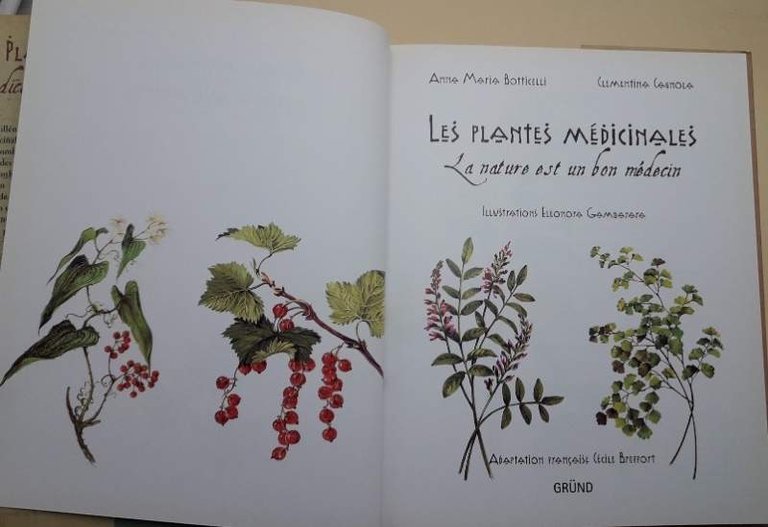 LES PLANTES MEDICINALES- LA NATURE EST UN BON MEDECIN( 1999)