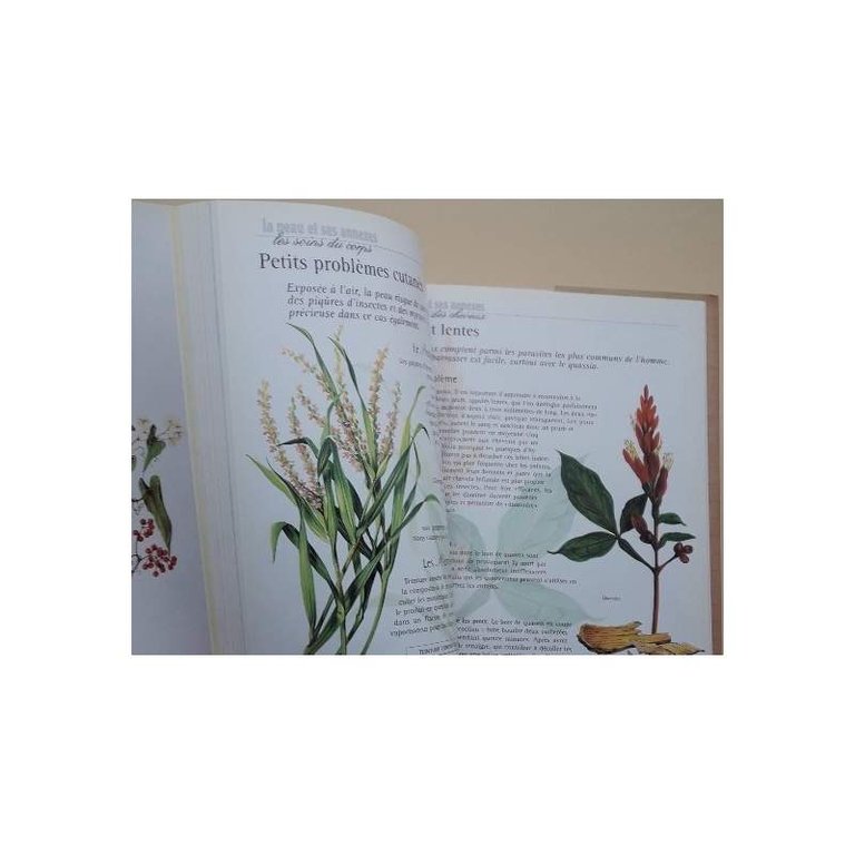 LES PLANTES MEDICINALES- LA NATURE EST UN BON MEDECIN( 1999)