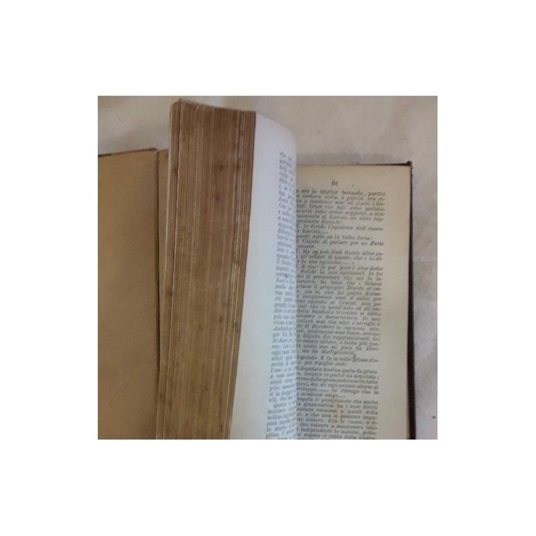 LESSICO DELL'INFIMA E CORROTTA ITALIANITA'( 1881)