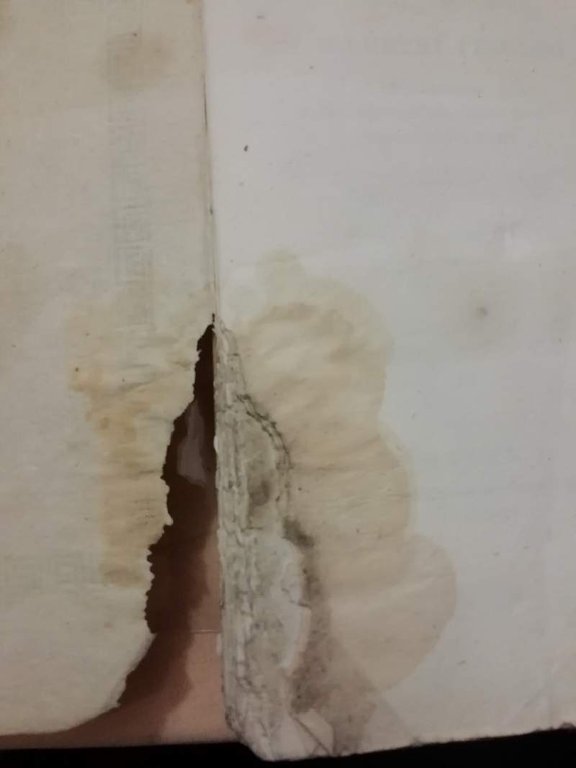 LETTERE INEDITE D'ILLUSTRI ITALIANI CHE FIORIRONO DAL PRINCIPIO DEL SECOLO …