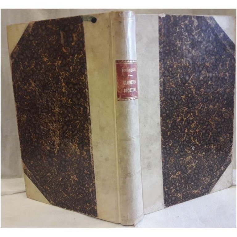 LEZIONI DI GEOMETRIA PROIETTIVA(1904)