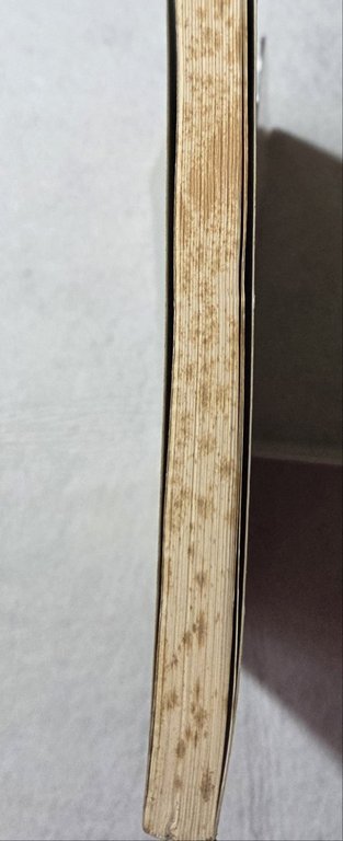 Libri dei Maccabei | Immagine Gallery 4