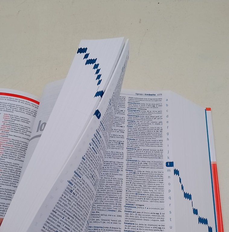 Lo Zingarelli 2018. Vocabolario della lingua italiana-Versione base.