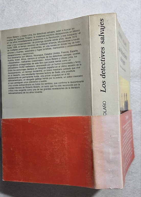 Los detectives salvajes | Immagine Gallery 3