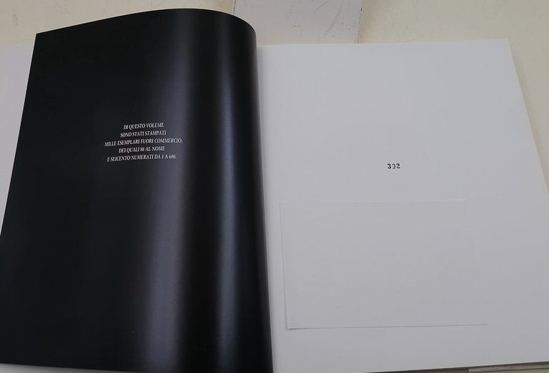 Lucchesia- Lucca vista dai viaggiatori