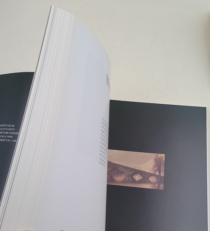 Lucchesia- Lucca vista dai viaggiatori