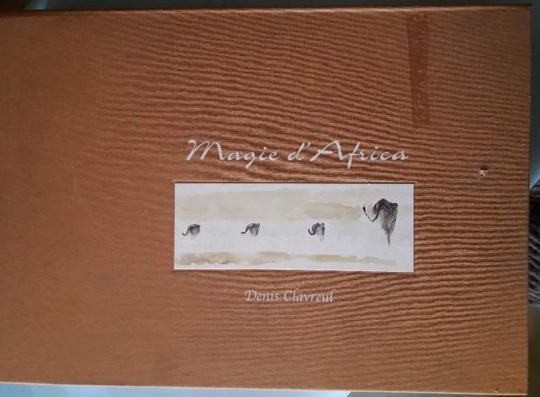 MAGIE D'AFRICA | Immagine Gallery 2