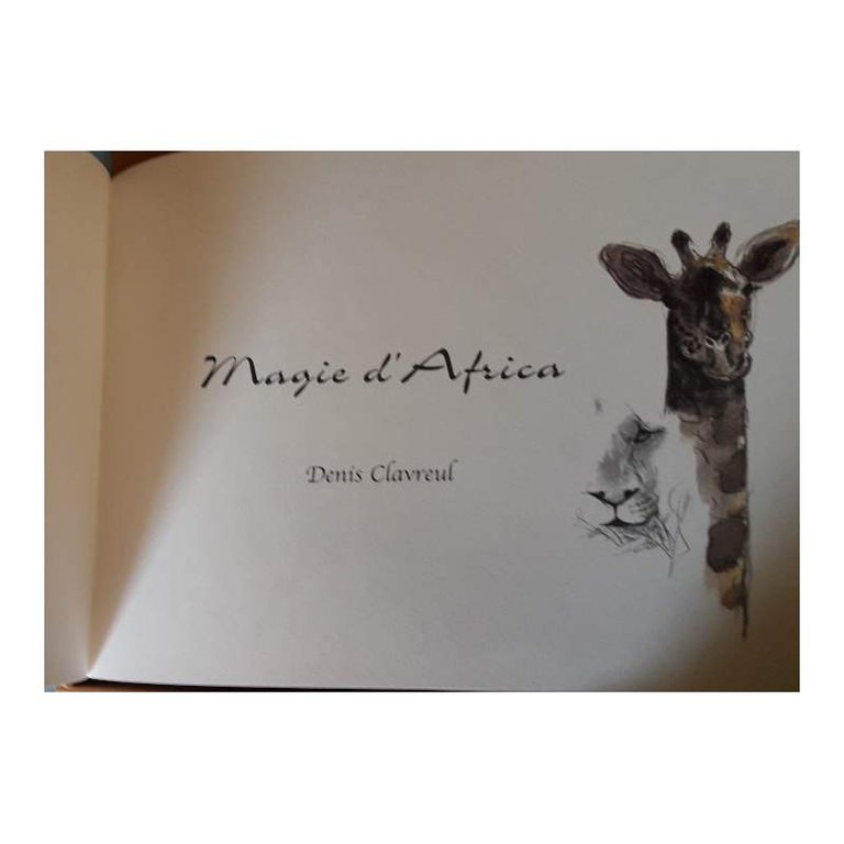 MAGIE D'AFRICA | Immagine Gallery 4