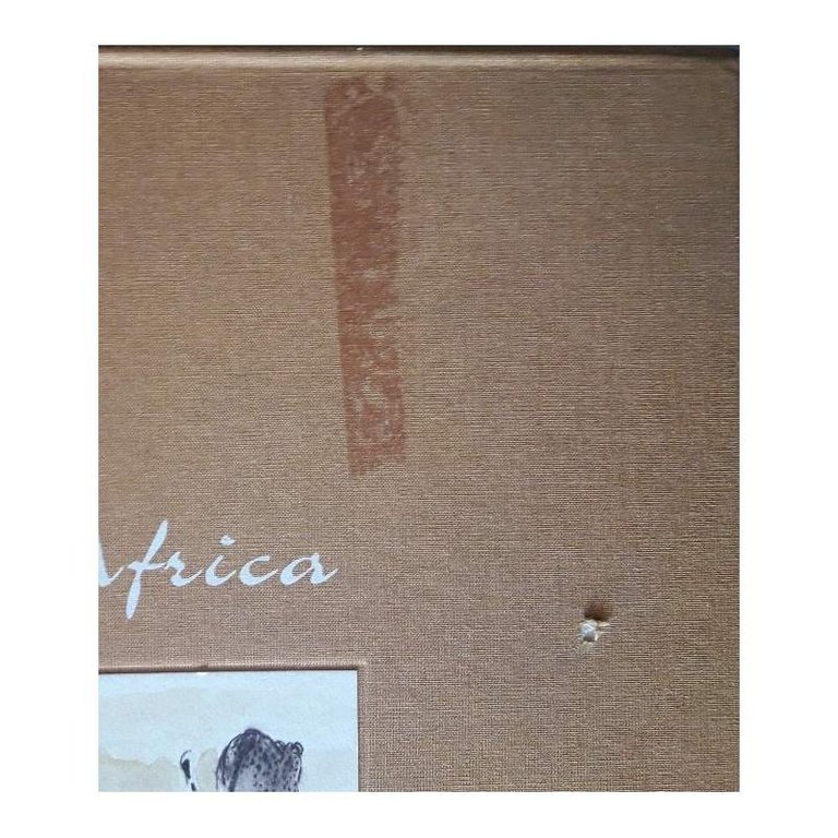 MAGIE D'AFRICA | Immagine Gallery 5