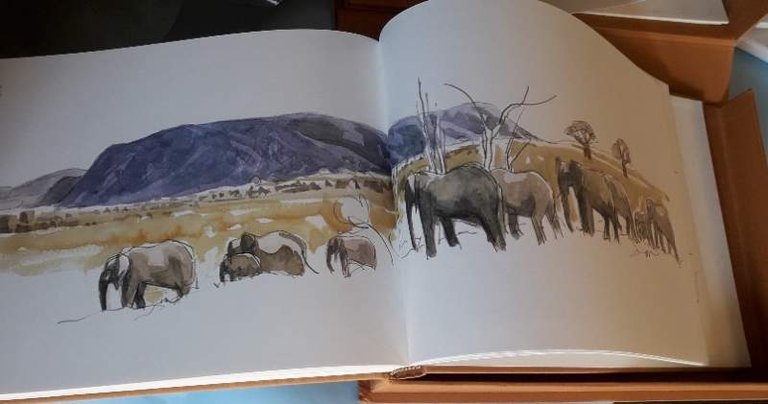 MAGIE D'AFRICA | Immagine Gallery 6