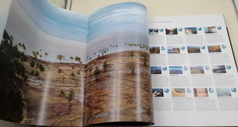 Mare. Il futuro del nostro pianeta. Ediz. illustrata | Immagine Gallery 4