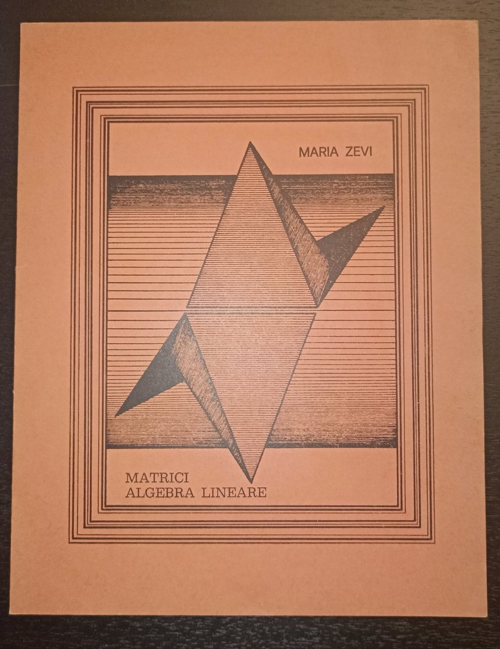 Matrici algebra lineare