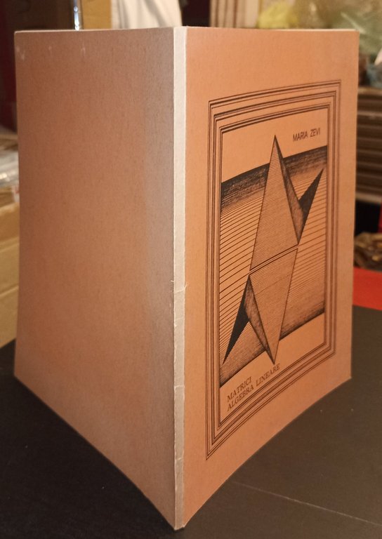 Matrici algebra lineare