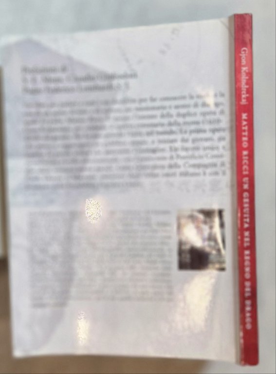 Matteo Ricci. Un gesuita nel regno del drago. Con DVD | Immagine Gallery 4