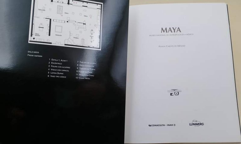 MAYA(2004)