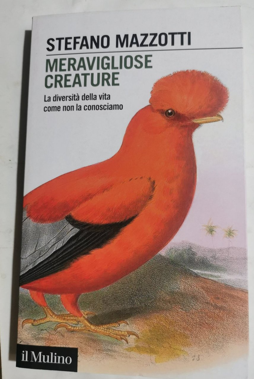Meravigliose creature - La diversità della vita come non la …