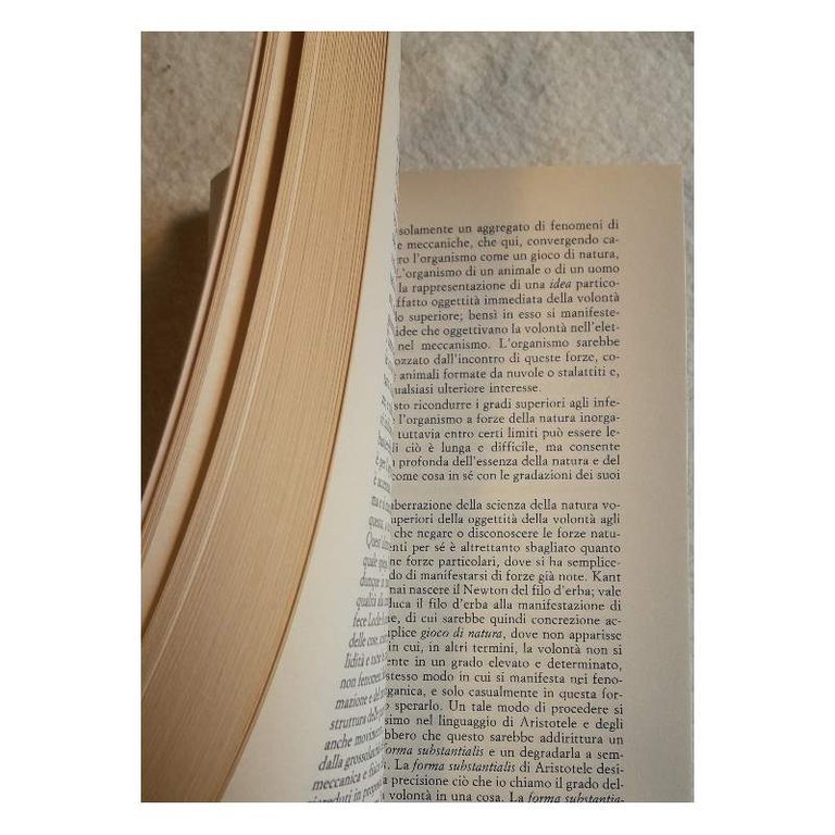 METAFISICA DELLA NATURA(1993)