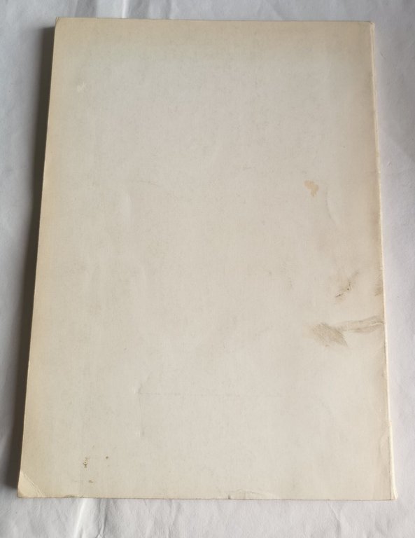 Metodi orientativi di analisi chimica delle acque di scarico industriali