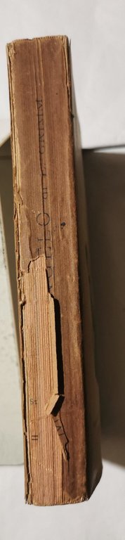 Michelangelo - Vol. II'