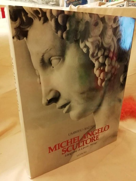 MICHELANGELO SCULTORE(1981)