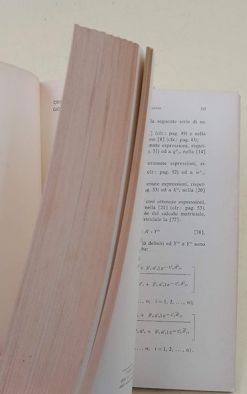 MODELLO PER L'ORGANIZZAZIONE DI UN COMPRENSORIO-UN APPLICAZIONE AL BIELLESE(1975)