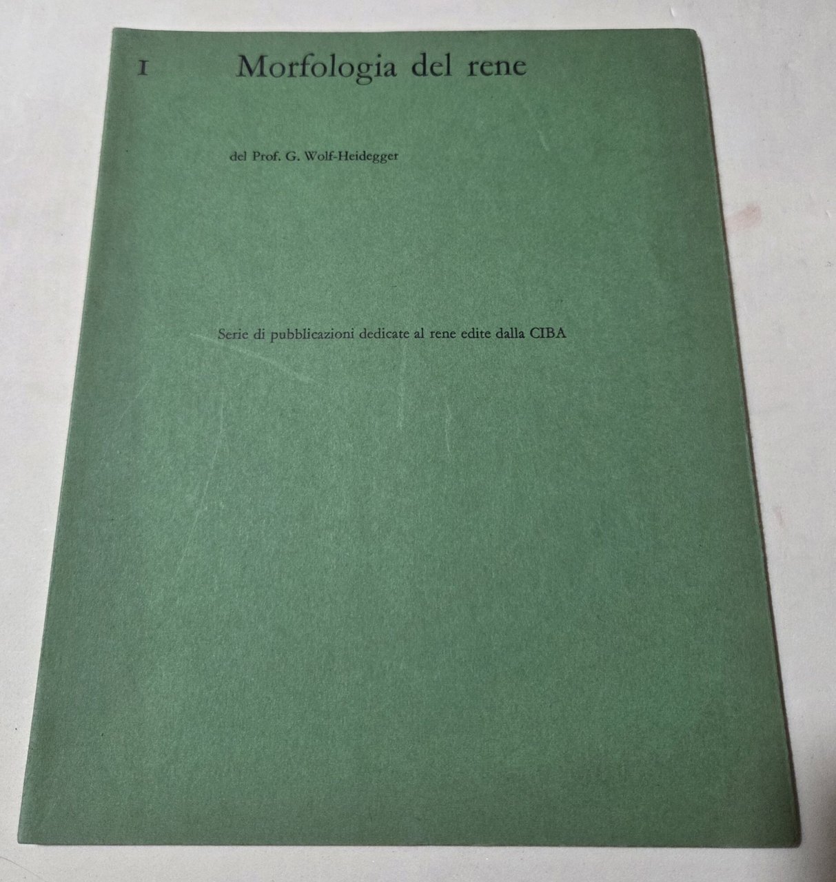 Morfologia del rene | Immagine principale