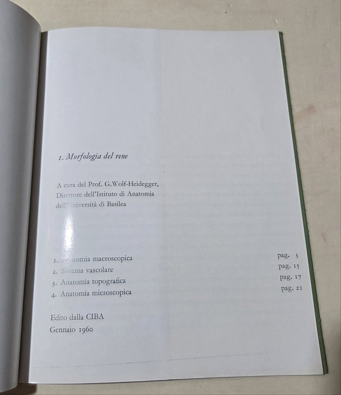 Morfologia del rene | Immagine Gallery 2