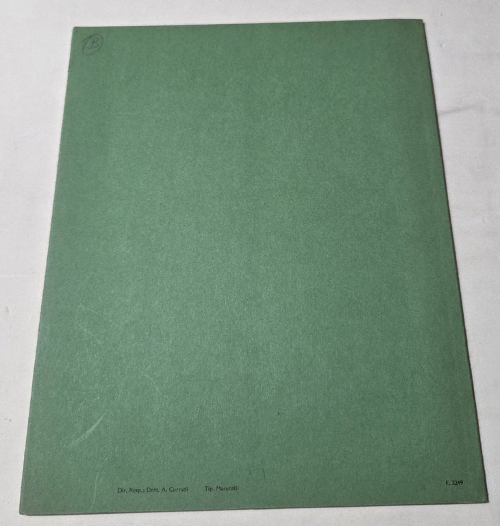 Morfologia del rene | Immagine Gallery 3