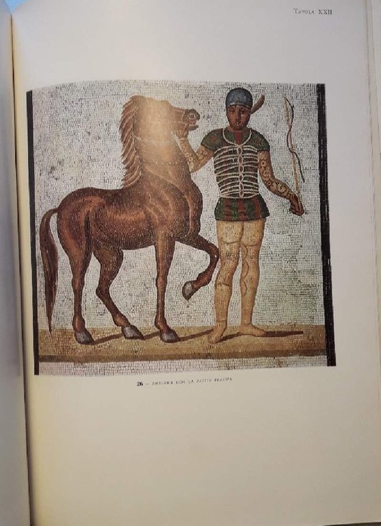 MOSAICI ANTICHI IN ITALIA-REGIONE SETTIMA-BACCANO:VILLA ROMANA( 1970) | Immagine Gallery 6