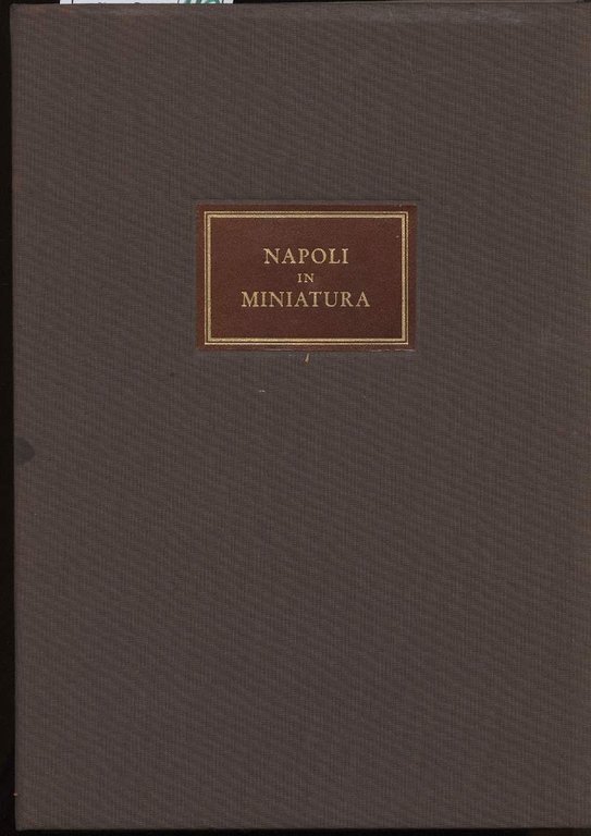 NAPOLI IN MINIATURA-Ventiquattro immagini del popolo napoletano e dei suoi …