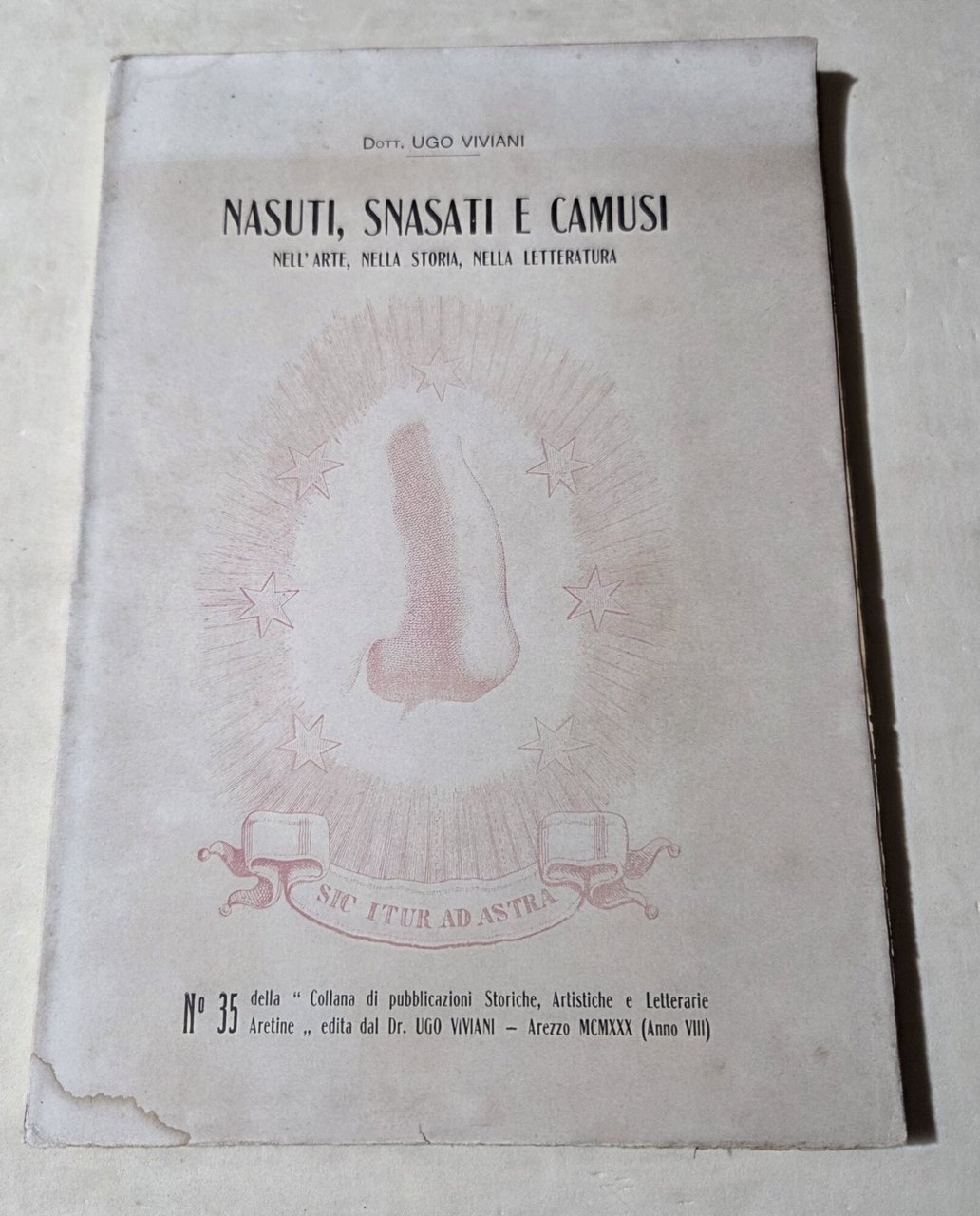 Nasuti, snasati e camusi nell'arte, nella storia, nella letteratura