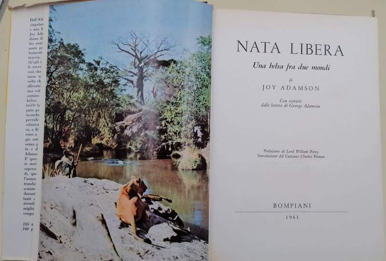 NATA LIBERA-UNA BELVA FRA DUE MONDI(1961)