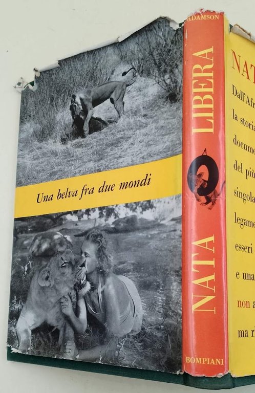 NATA LIBERA-UNA BELVA FRA DUE MONDI(1961)