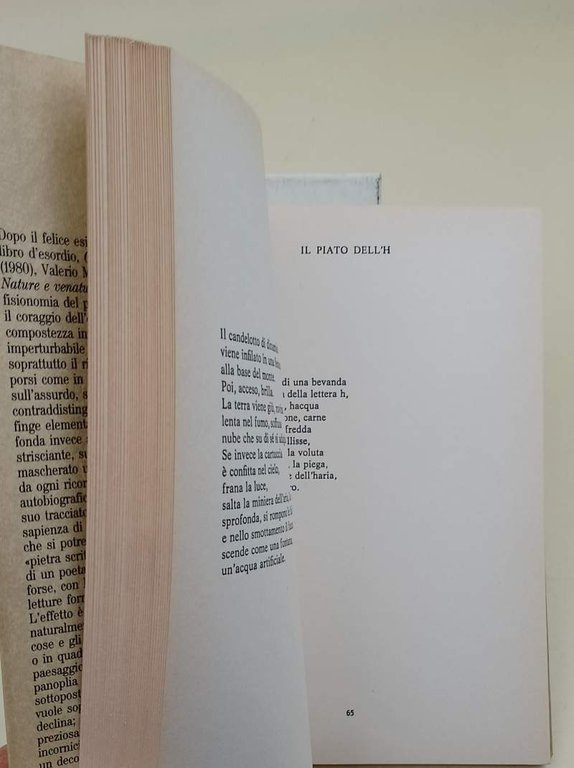 NATURE E VENATURE(1987)