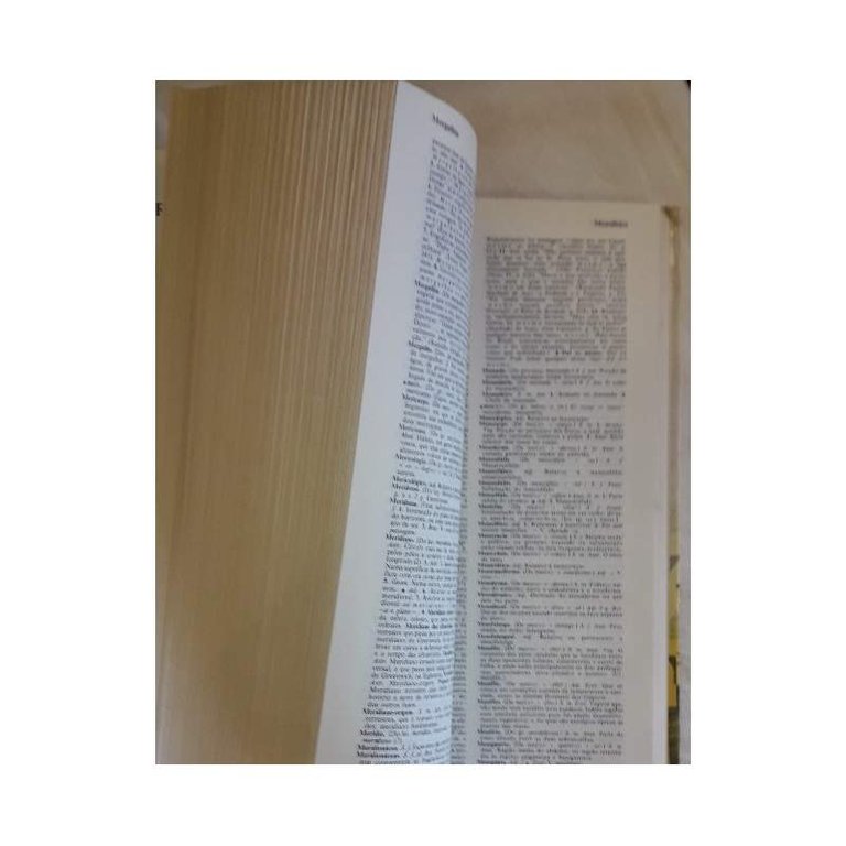 NOVO DICIONARIO DA LINGUA PORTUGUESA(ANNI '80)