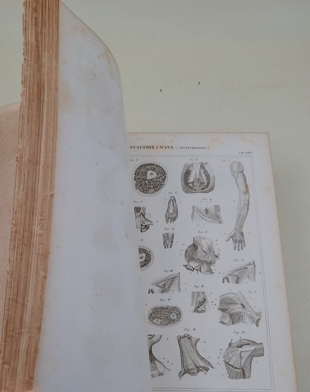 Nuova enciclopedia popolare italiana- Supplement-Tavole