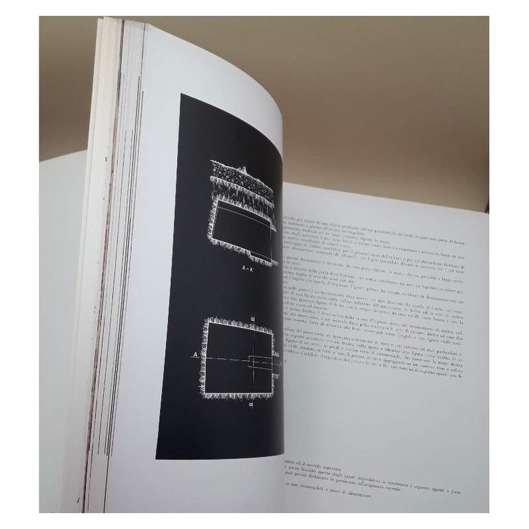 NUOVI MONUMENTI DELLA PITTURA ETRUSCA(1966)