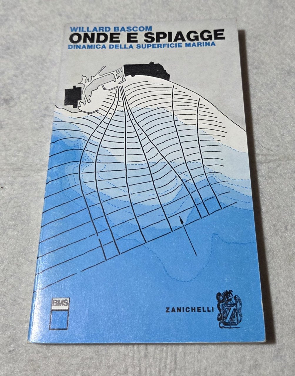 Onde e spiagge - Dinamica della superficie marina | Immagine principale