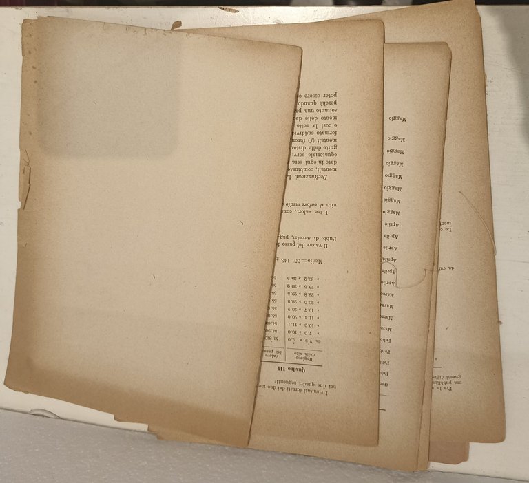 Osservazioni astronomiche fatte al piccolo meridiano di Arcetri Fascicolo 11 | Immagine Gallery 2