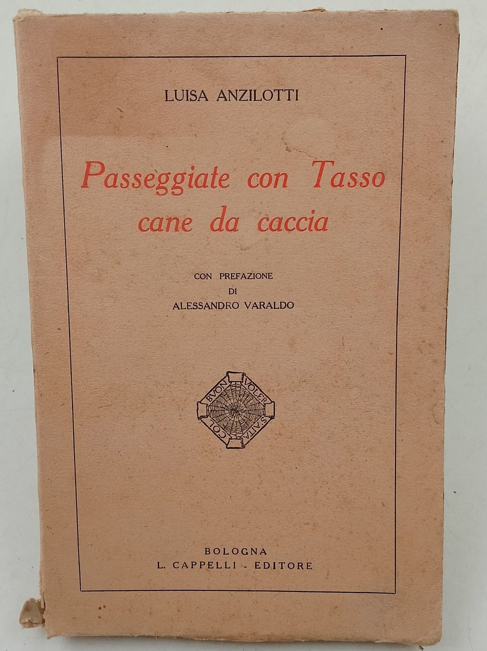 Passeggiate con Tasso cane da caccia