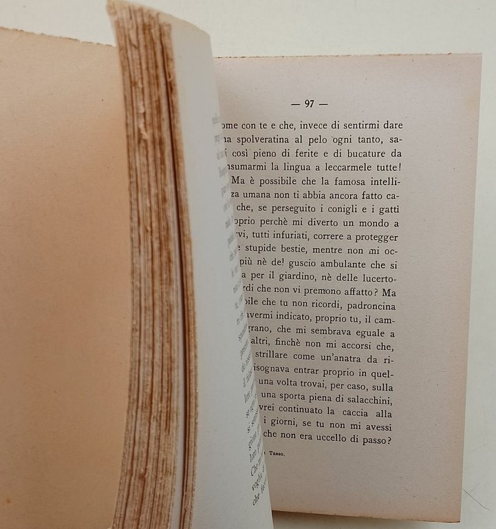 Passeggiate con Tasso cane da caccia