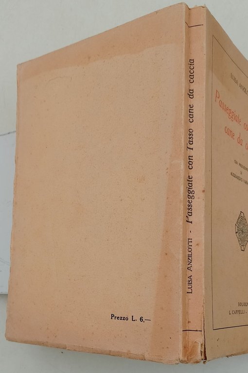 Passeggiate con Tasso cane da caccia