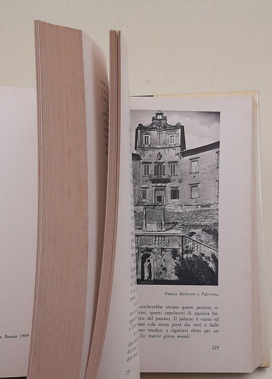 Passeggiate nella campagna romana